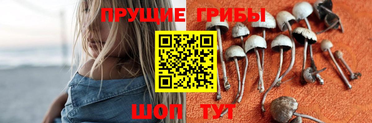 Псилоцибиновые грибы ЛСД  купить закладку  Галлюциногенные грибы прущие грибы  Тобольск  Вход с VPN 